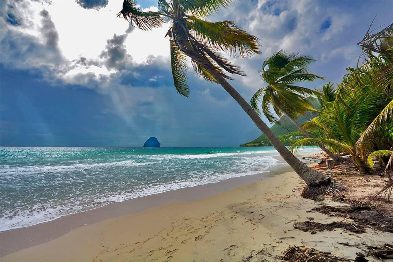 Malilia Beach A Sainte-Anne - Wifi -5 Min A Pied De La Plage Exterior foto